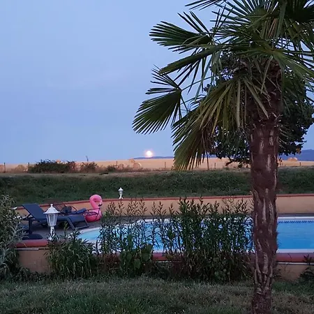 Holiday home Et Piscine Tarn Domaine Des Vignes