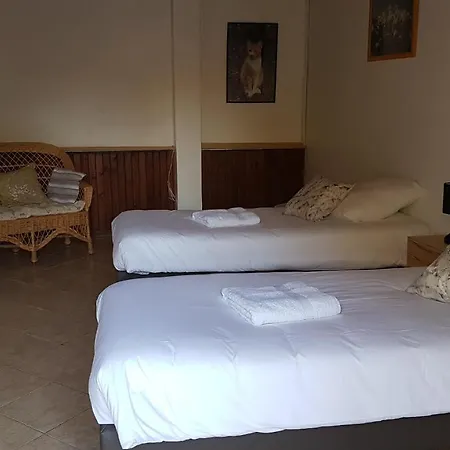 Holiday home Et Piscine Tarn Domaine Des Vignes
